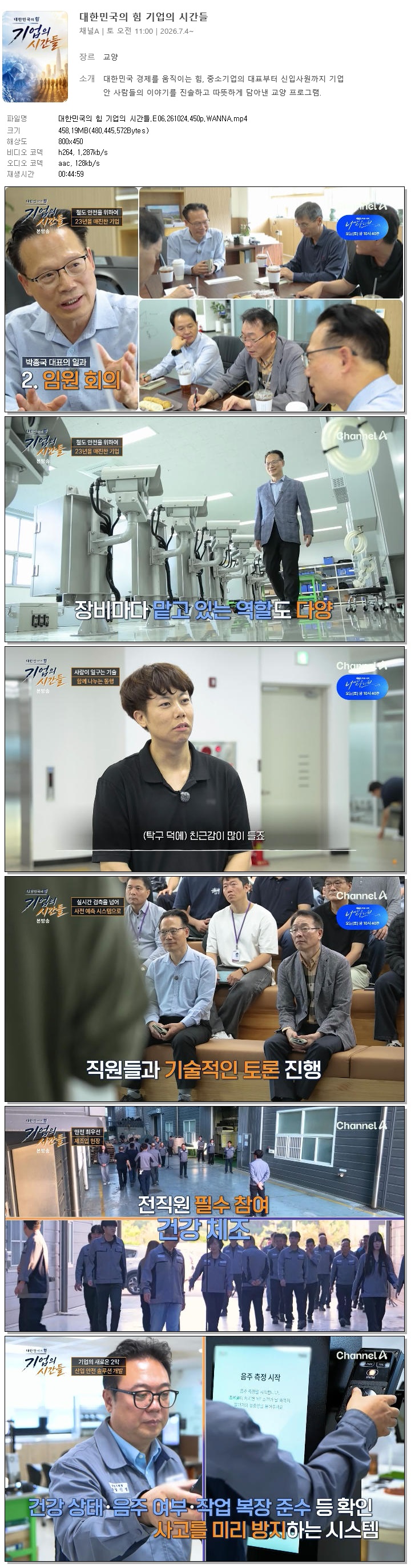 대한민국의 힘 기업의 시간들.E06.261024.450p.WANNA
