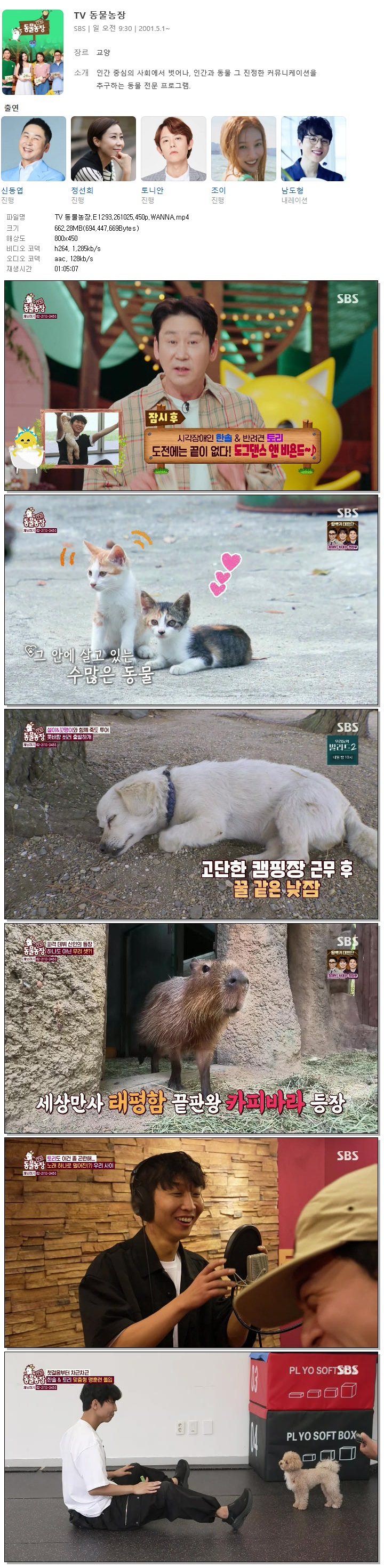 TV 동물농장.E1293.261025.450p.WANNA