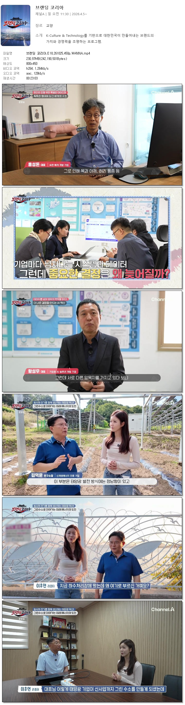 브랜딩 코리아.E18.261025.450p.WANNA
