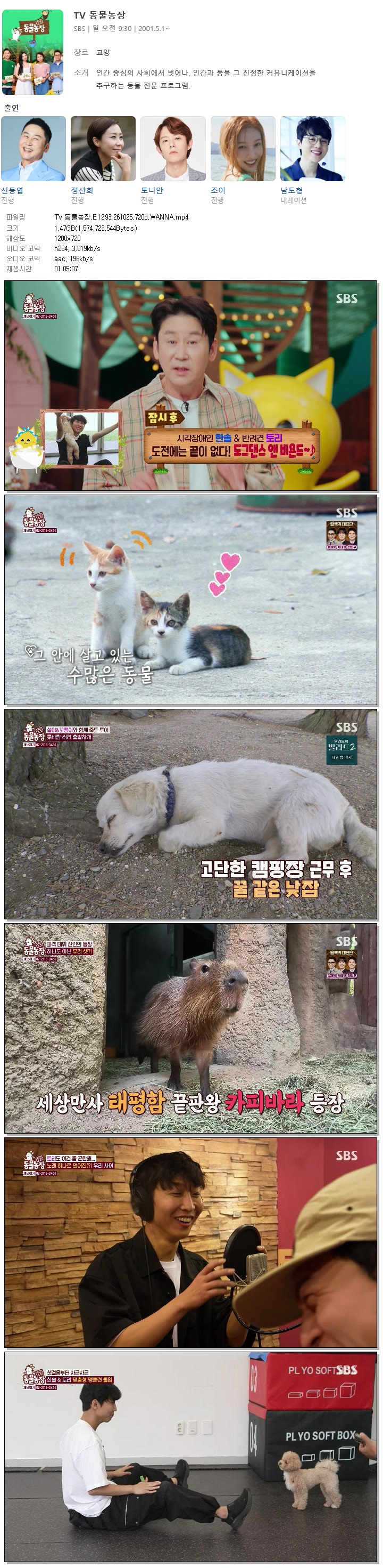 TV 동물농장.E1293.261025.720p.WANNA