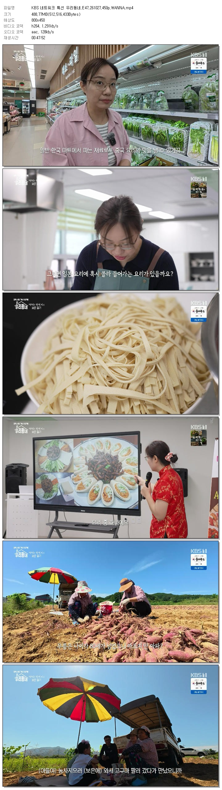 KBS 네트워크 특선 우리동네.E47.261027.450p.WANNA