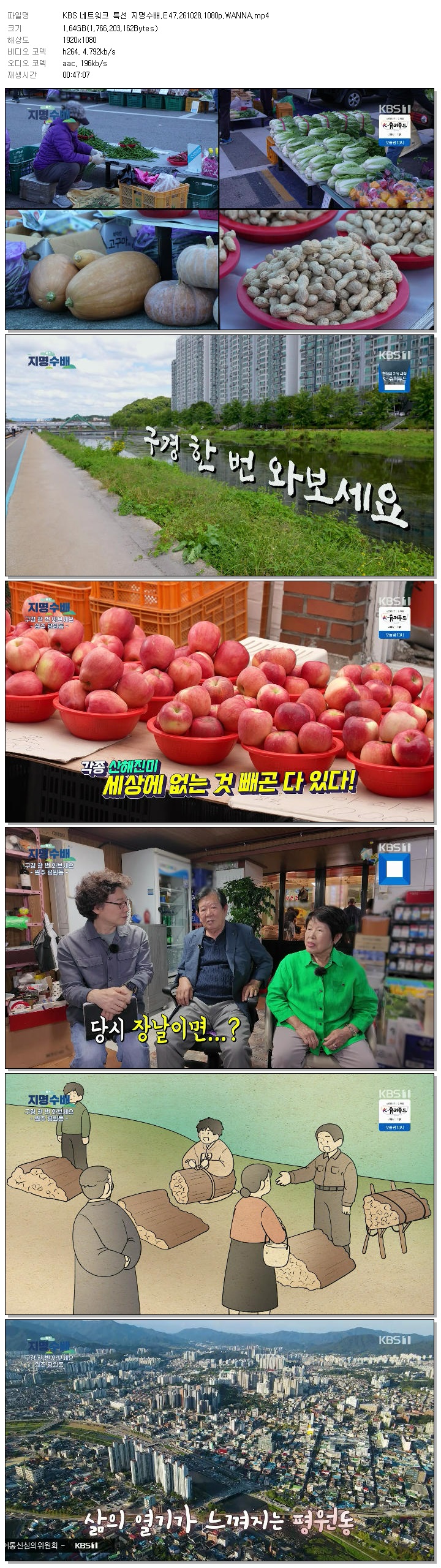 KBS 네트워크 특선 지명수배.E47.261028.1080p.WANNA