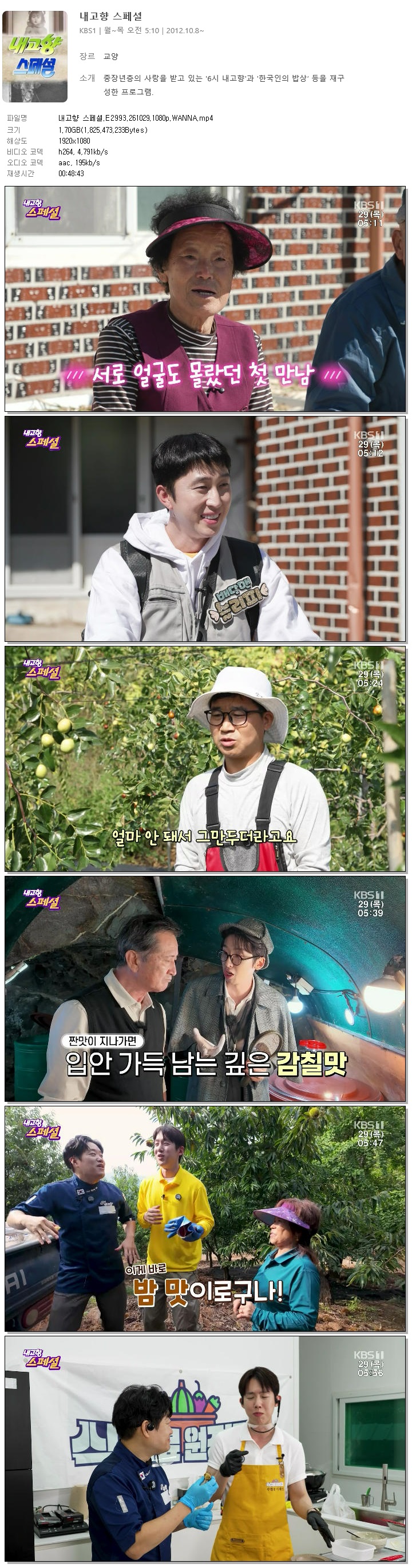 내고향 스페셜.E2993.261029.1080p.WANNA